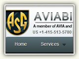 Aviabiz group site